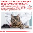 Фото 9 - ветеринарні корми Royal Canin GASTRO INTESTINAL GI32 (ГАСТРО ІНТЕСТИНАЛ) сухий лікувальний корм для котів від 1 року