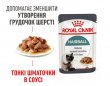 Фото - влажный корм (консервы) Royal Canin HAIRBALL CARE in GRAVY влажный корм для кошек