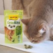 Фото 3 - лакомства Gimcat GRASBITS - витаминизированное лакомство для кошек с травой