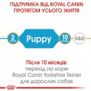 Фото - сухий корм Royal Canin YORKSHIRE TERRIER PUPPY (ЙОРКШИР ТЕР'ЄР ПАППІ) корм для цуценята до 10 місяців