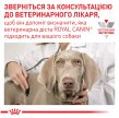 Фото 7 - ветеринарные корма Royal Canin HYPOALLERGENIC PUPPY сухой лечебный корм для щенков