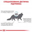 Фото - ветеринарні корми Royal Canin SKIN & COAT сухий лікувальний корм для котів