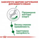 Фото - сухий корм Royal Canin MINI ADULT 8+ (СОБАКИ ДРІБНИХ ПОРІД ЕДАЛТ 8+) корм для собак від 8 років