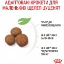 Фото - сухой корм Royal Canin GIANT PUPPY корм для щенков гигантских пород от 2 до 8 месяцев