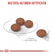 Фото 2 - сухой корм Royal Canin MINI DIGESTIVE CARE корм для собак мелких пород с чувствительным пищеварением (до 10 кг)