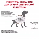 Фото - ветеринарні корми Royal Canin GASTRO INTESTINAL HIGH FIBRE лікувальний корм із підвищеним вмістом клітковини для собак при порушеннях травлення