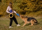 Фото - іграшки Collar PULLER Colors of Freedom тренувальний снаряд для собак (2 кільця)