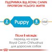 Фото - сухий корм Royal Canin CHIHUAHUA PUPPY (ЧИХУАХУА ПАППІ) корм для цуценята до 8 місяців