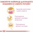Фото 2 - сухий корм Royal Canin KITTEN PERSIAN 32 (КІТТЕН ПЕРСІАН) корм для кошенят від 4-12 місяців