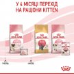 Фото 9 - влажный корм (консервы) Royal Canin MOTHER & BABYCAT (БЕБИКЕТ ИНСТИНКТИВ) Влажный корм для котят с рождения до 4 месяцев