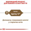 Фото - вологий корм (консерви) Royal Canin AGEING 12+ вологий корм для кішок старше 12 років