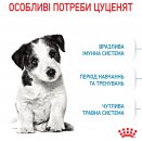 Фото - сухий корм Royal Canin MINI PUPPY корм для цуценят дрібних порід від 2 до 10 місяців