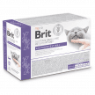 Фото - ветеринарні корми Brit Veterinary Diets Cat Grain Free Gastrointestinal Lamb консерви для котів при проблемах з ШКТ ЯГНЯ