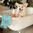 Фото 2 - щоденний догляд (шампуні, кондиціонери та інші засоби) Tauro Pro Line Pure Nature 5in1 Shampoo зволожувальний шампунь для собак і котів