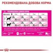 Фото 4 - сухий корм Royal Canin Fussy Exigent сухий корм для вибагливих котів