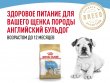 Фото 4 - сухой корм Royal Canin BULLDOG PUPPY (БУЛЬДОГ ПАППИ) корм для щенков до 12 месяцев