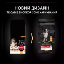 Фото - сухой корм Purina Pro Plan (Пурина Про План) Adult Medium Chicken сухой корм для взрослых собак средних пород КУРИЦА