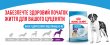 Фото 6 - сухой корм Royal Canin GIANT JUNIOR (ЮНИОРЫ ГИГАНТСКИХ ПОРОД) корм для щенков от 8-24 месяцев