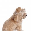 Фото 6 - одяг Pet Fashion Print панама для собак