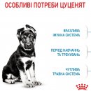 Фото - сухий корм Royal Canin MAXI PUPPY корм для цуценят великих порід від 2 до 15 місяців