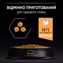 Фото - сухий корм Purina Pro Plan (Пурина Про План) Kitten Healthy Start сухий корм для кошенят до 12 місяців КУРКА