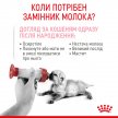 Фото - замінники котячого молока Royal Canin BABYCAT MILK (БЕБІКЕТ МІЛК) замінник молока для кошенят