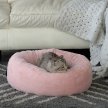 Фото 4 - лежаки, матрасы, коврики и домики Pet Fashion SOFT лежак для собак и кошек, розовый