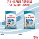 Фото - сухий корм Royal Canin GIANT PUPPY корм для цуценята гігантських порід від 2 до 8 місяців