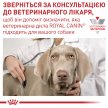 Фото 8 - ветеринарні корми Royal Canin CARDIAC сухий дієтичний корм для собак при серцевій недостатності