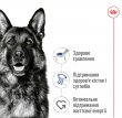 Фото 4 - сухий корм Royal Canin MAXI AGEING 8+ (МАКСІ АЙДЖИНГ 8+) корм для собак великих порід від 8 років