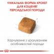 Фото 5 - сухий корм Royal Canin KITTEN PERSIAN 32 (КІТТЕН ПЕРСІАН) корм для кошенят від 4-12 місяців
