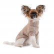 Фото 2 - одежда Pet Fashion Sam свитер для собак, бежевый