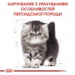 Фото 3 - сухий корм Royal Canin KITTEN PERSIAN 32 (КІТТЕН ПЕРСІАН) корм для кошенят від 4-12 місяців