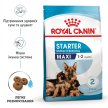 Фото - сухой корм Royal Canin MAXI STARTER MOTHER & BABYDOG корм для беременных и кормящих сук и щенков крупных-пород