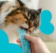 Фото 4 - ласощі Mavsy Creamy Treats ласощі у вигляді крему для котів ТУНЕЦЬ та ТРІСКА
