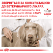 Фото 6 - ветеринарные корма Royal Canin HYPOALLERGENIC лечебный влажный корм для собак при пищевой аллергии