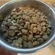 Фото 4 - сухий корм Klicker Cat Sterilized Chicken сухий беззерновий корм для стерилізованих котів КУРКА