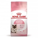 Фото - сухой корм Royal Canin Mother & Babycat (БЕБИКЭТ) cухой корм для котят 1-4 месяца, беременных и лактирующих