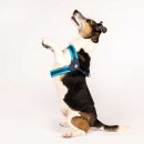 Фото 4 - амуніція Max & Molly Urban Pets Q-Fit Harness шлея для собаки Matrix Sky Blue