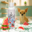 Фото 2 - повседневный уход (шампуни, кондицонеры и др. средства) Modes Shampoo Watermelon шампунь для кошек и собак АРОМАТ АРБУЗА