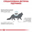 Фото - ветеринарные корма Royal Canin ANALLERGENIC сухой лечебный корм для кошек