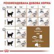 Фото 6 - сухий корм Royal Canin AGEING STERILISED 12+ (СТЕРИЛІЗЕД 12+) корм для літніх котів старше 12 років