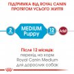 Фото 5 - вологий корм (консерви) Royal Canin MEDIUM PUPPY вологий корм для цуценят середніх порід від 2 до 12 місяців