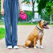 Фото 4 - рулетки WAUDOG R-leash повідець рулетка з контейнером для пакетів, світловідбивна стрічка, рожевий