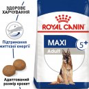 Фото - сухий корм Royal Canin MAXI ADULT 5+ (СОБАКИ ВЕЛИКИХ ПОРІД ЕДАЛТ 5+) корм для собак від 5 років