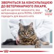 Фото 8 - ветеринарні корми Royal Canin GASTROINTESTINAL KITTEN ветеринарна дієта для кошенят від 2 до 10 місяців при порушеннях травлення