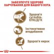 Фото 2 - влажный корм (консервы) Royal Canin AGEING 12+ влажный корм для пожилых кошек старше 12 лет