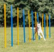 Фото 3 - дрессировка и спорт Trixie Slalom (Трикси Слалом) - палки для тренировки ловкости собак (3206)