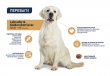 Фото - сухий корм Advance (Едванс) Labrador Adult - Корм для дорослих лабрадорів з куркою 11,5 кг