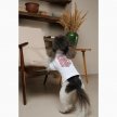 Фото 5 - одежда Pet Fashion Ukraine футболка для собак